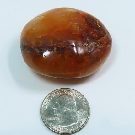 Polished Carnelian Agate Palm Stone from Madagascar next to a U.S. quarter dollar coin for scale on a white background
