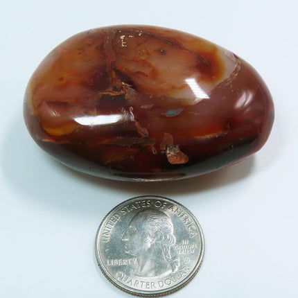 Polished Carnelian Agate Palm Stone from Madagascar next to a U.S. quarter dollar on a white background