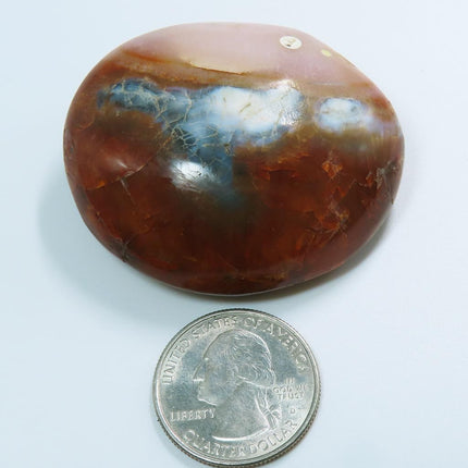 Polished Carnelian Agate Palm Stone from Madagascar next to a quarter for scale on a white background