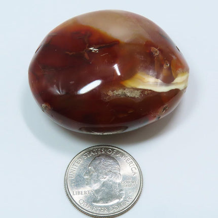 Polished Carnelian Agate Palm Stone from Madagascar next to a U.S. quarter dollar coin for scale on a white background