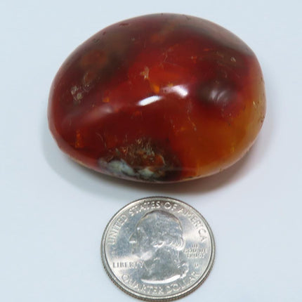 Polished Carnelian Agate Palm Stone from Madagascar next to a U.S. quarter for size comparison on a light blue background