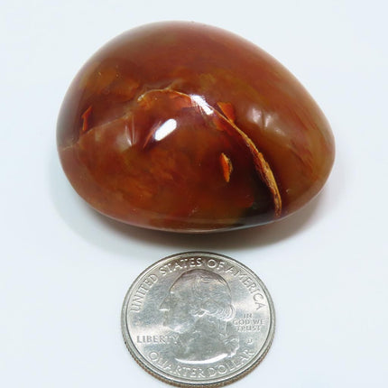 Polished Carnelian Agate Palm Stone from Madagascar next to a U.S. quarter dollar for scale on a white background