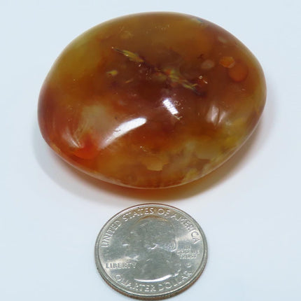 Polished Carnelian Agate Palm Stone from Madagascar