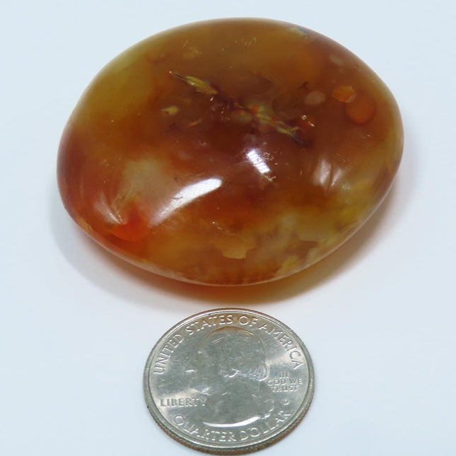 Polished Carnelian Agate Palm Stone from Madagascar