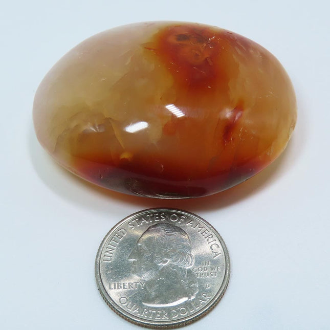 Polished Carnelian Agate Palm Stone from Madagascar next to a U.S. quarter dollar for scale on a white background