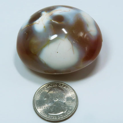 Polished Carnelian Agate Palm Stone from Madagascar next to a U.S. quarter dollar coin for scale on a light gray background