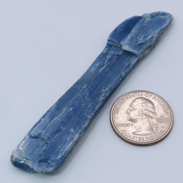 Blue Kyanite Blade from Brazil next to a U.S. quarter on a light blue background