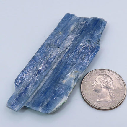 Blue Kyanite Blade from Brazil next to a U.S. quarter on a light blue background