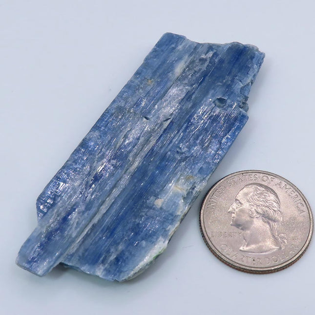 Blue Kyanite Blade from Brazil next to a U.S. quarter on a light blue background