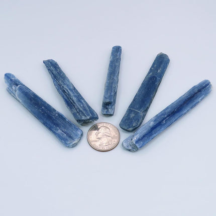 Five Blue Kyanite Blades from Brazil with a quarter for scale on a light gray background