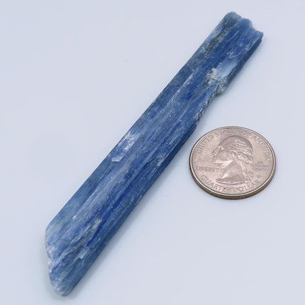 Blue Kyanite Blade from Brazil next to a quarter on a light gray background