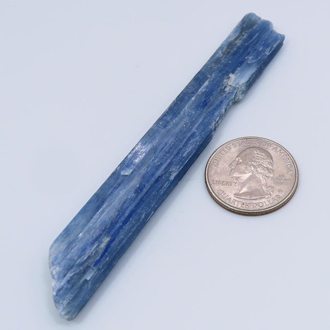 Blue Kyanite Blade from Brazil next to a quarter on a light gray background