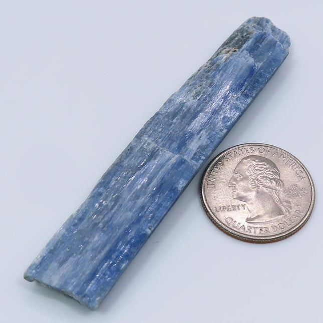 Blue Kyanite Blade from Brazil next to a U.S. quarter dollar for scale on a light gray background
