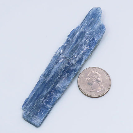 Blue Kyanite Blade from Brazil next to a US quarter for scale on a light blue background