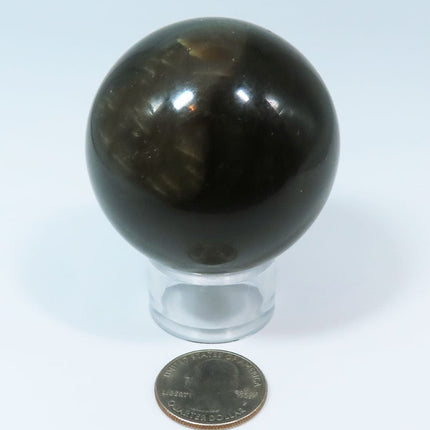 Polished Dark Amber Sphere Ball from Myanmar (Burma) on a stand with a quarter for scale on a white background