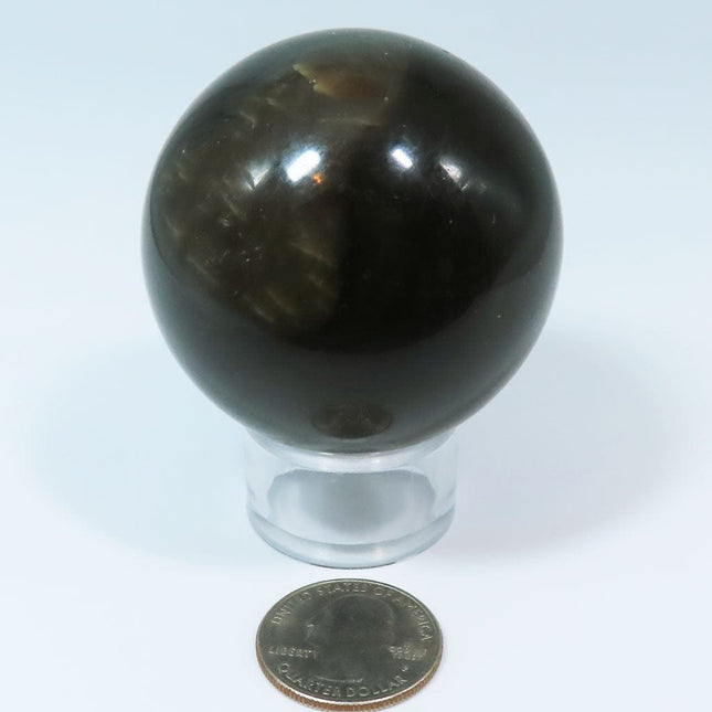 Polished Dark Amber Sphere Ball from Myanmar (Burma) on a stand with a quarter for scale on a white background