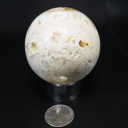 Polished Crazy Lace Agate Sphere Ball from Mexico with a quarter for scale on a black background