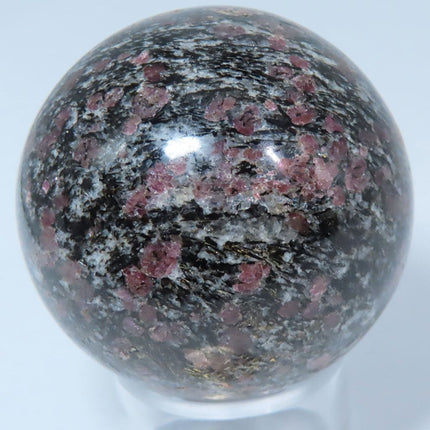 Polished Plumb Agate Sphere Ball from Indonesia with a quarter for scale on a white background