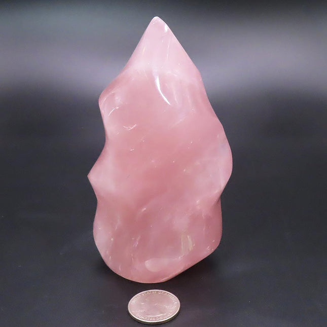 Polished Rose Quartz Flame Carving from Madagascar on a dark background with a coin for scale