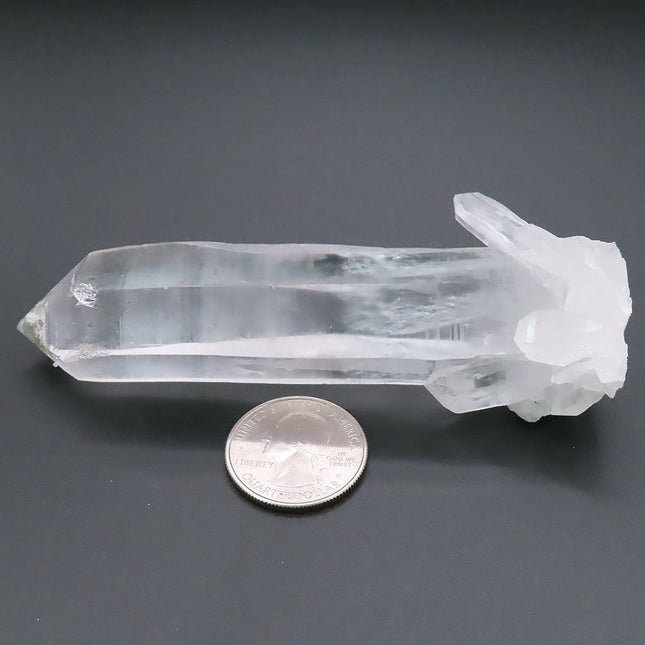 Lemurian Seed Quartz Crystal Point w/ Tourmaline Included from Brazil