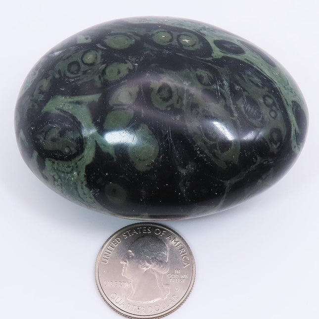 Polished Kambaba Jasper Palm Stone from Madagascar