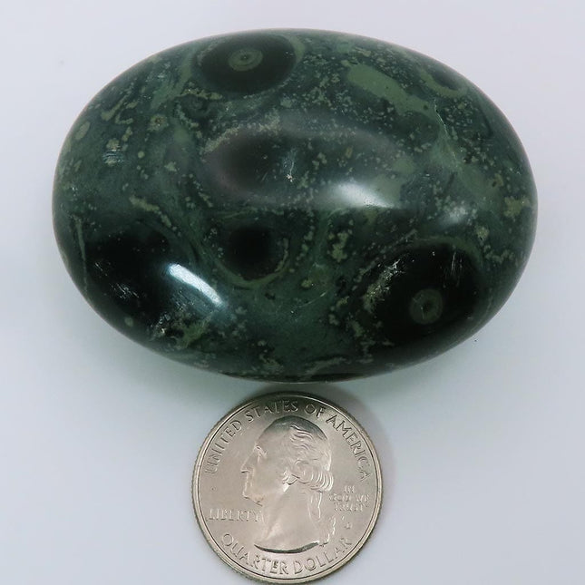 Polished Kambaba Jasper Palm Stone from Madagascar
