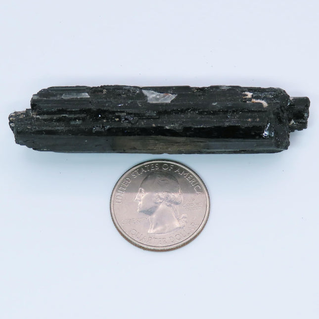 Black Tourmaline Crystal with White Quartz from Brazil