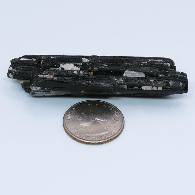 Black Tourmaline Crystal with White Quartz from Brazil