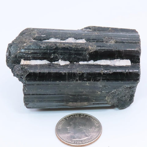 Black Tourmaline Crystal with White Quartz from Brazil
