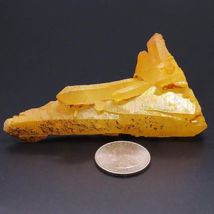 Golden Healer Quartz Crystal Self-Healed Shard w/ Rainbow Iridescence