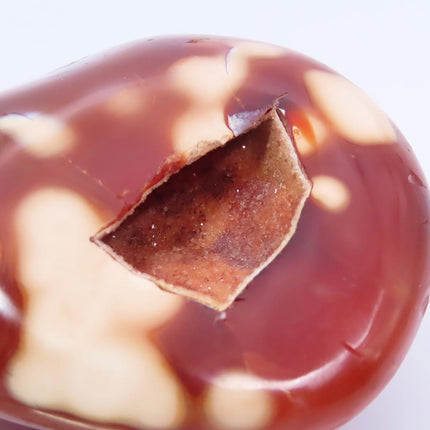 Polished Carnelian Agate Palm Stone from Madagascar