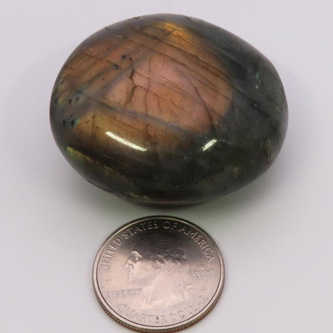 Polished Labradorite Palm Stone from Madagascar