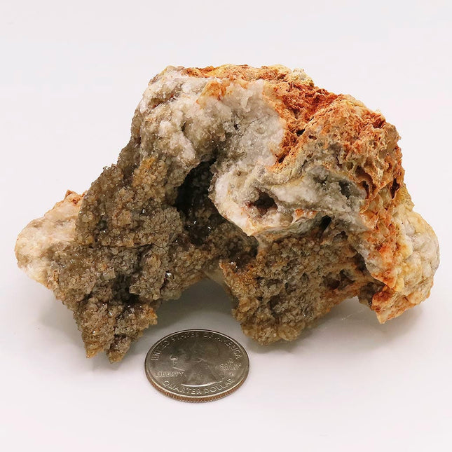 Arkansas Drusy Smoky Quartz Crystal Geode with White Opal Coating