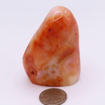 Polished Carnelian Agate Free Form from Madagascar