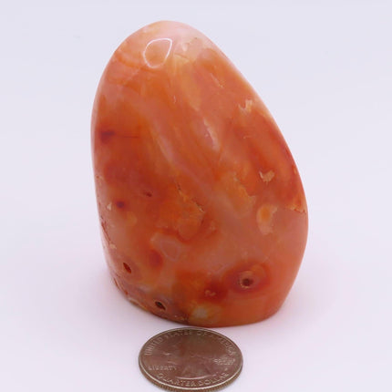 Polished Carnelian Agate Free Form from Madagascar