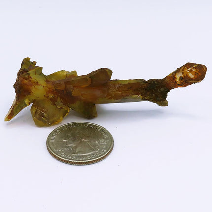 Arkansas Natural Uncleaned Quartz Crystal Tabby Bar Cluster