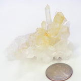 Arkansas Square Back Lemon Healer Quartz Crystal Cluster