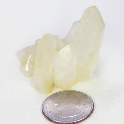 Arkansas Lemon Healer Quartz Crystal Cluster