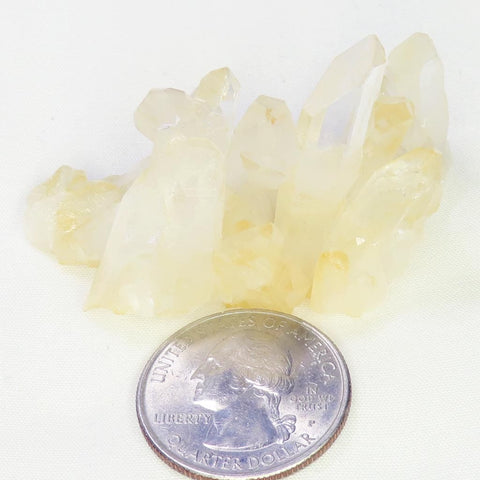 Arkansas Lemon Healer Quartz Crystal Cluster