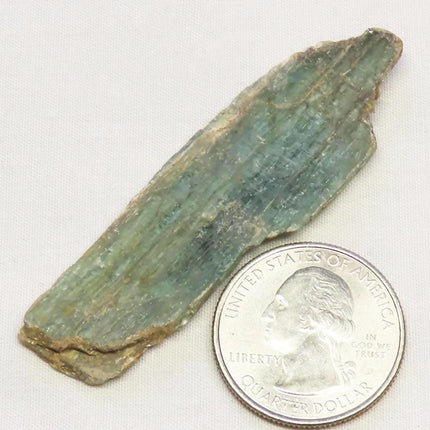 Rare Green Kyanite Blade from Tanzania