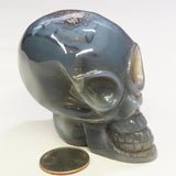 Carved Blue Chalcedony Alien Skull from Brazil