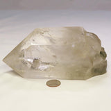 Carved Chlorite Included Skull in Large Smoky Quartz Point w/ Rainbows