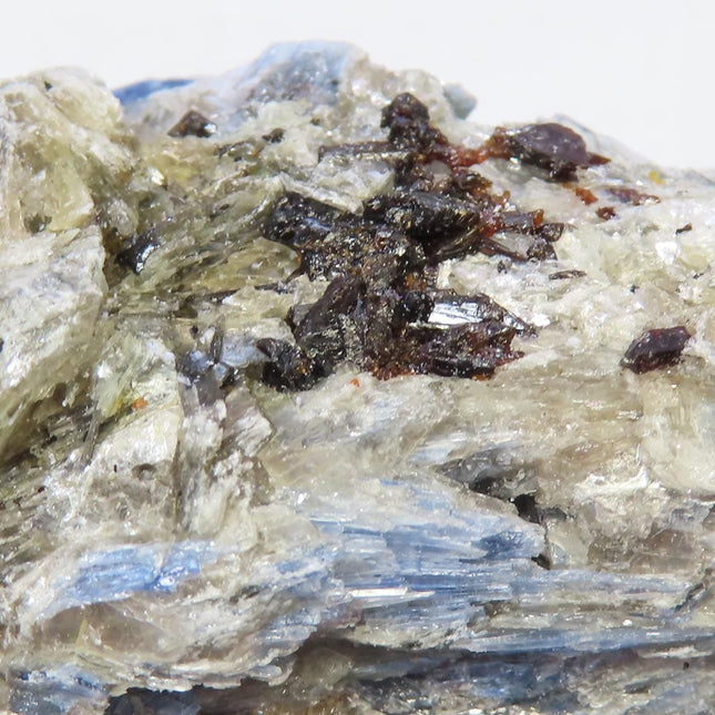 Blue Kyanite Cluster with Black Tourmaline and Garnets from Brazil