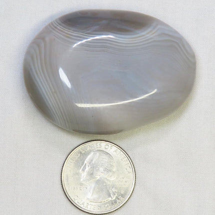 Polished Banded Agate Palm Stone from Madagascar
