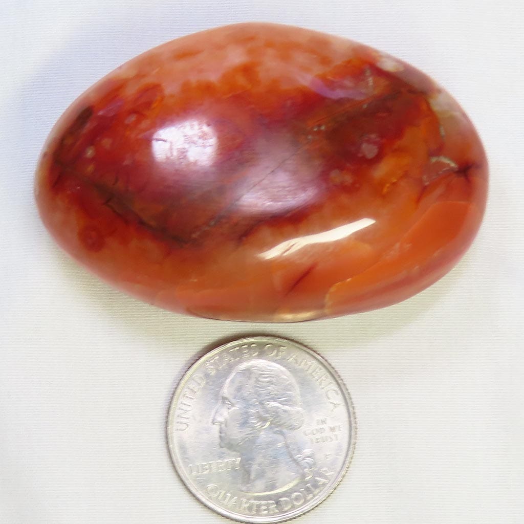 Polished Carnelian Agate Palm Stone from Madagascar