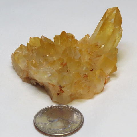 Arkansas Golden Healer Quartz Crystal Cluster w/ Time-Link Activation