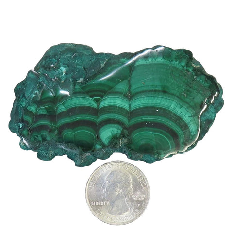 Polished Malachite Slice from Democratic Republic of the Congo