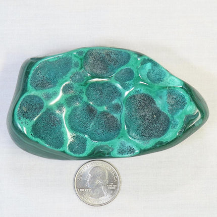 Polished Malachite Free Form with Chrysocolla from the Congo