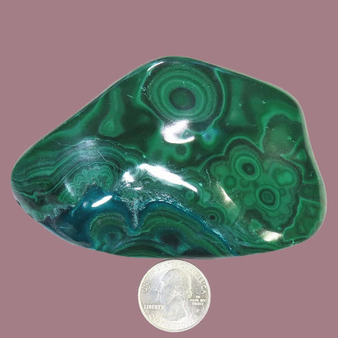 Polished Malachite Free Form with Chrysocolla from the Congo