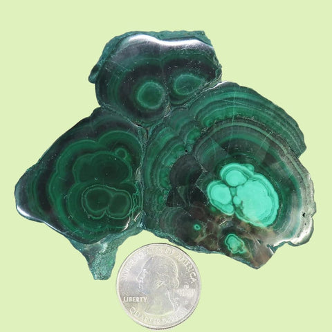 Polished Malachite Slice from Democratic Republic of the Congo